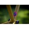 Kit Cadre 211Cycles MR4