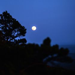 700Cx48 Poteau Mountain Pneu René Herse